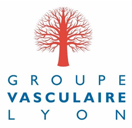 Groupe vasculaire lyon
